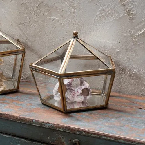 Bequai Display Box