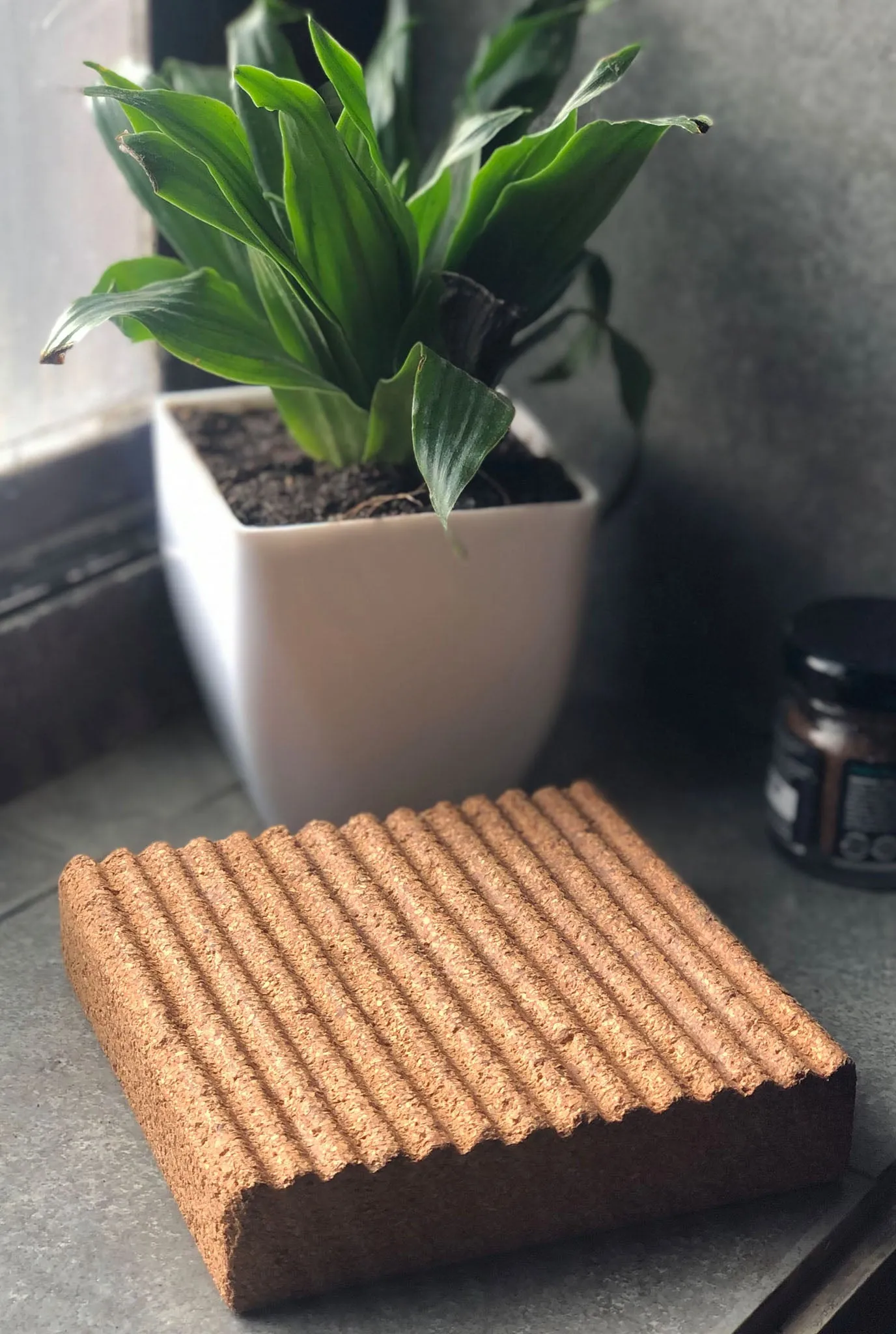 CORK SOAP DISH