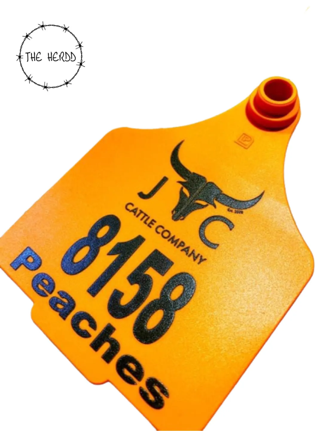 Custom Tags