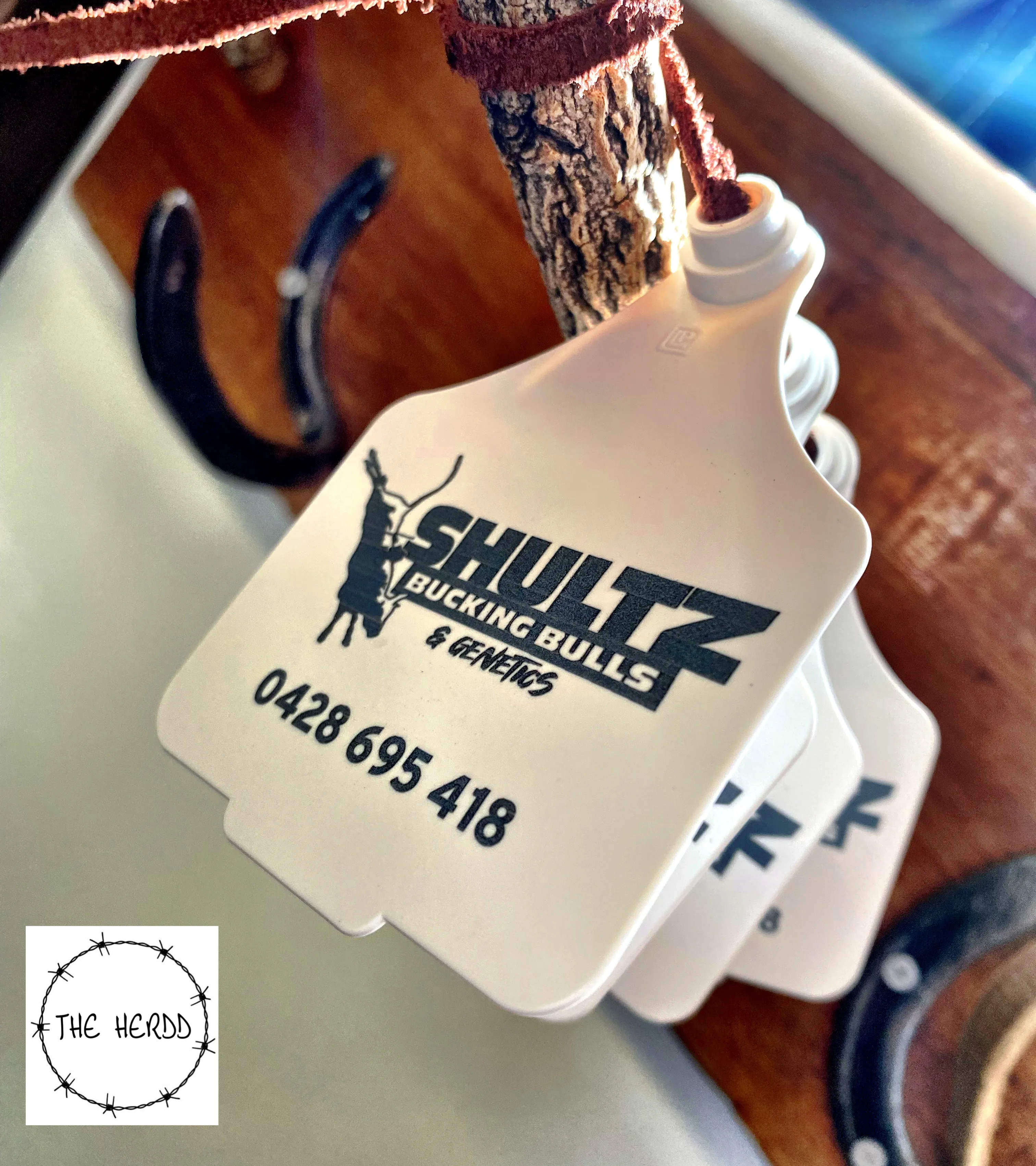 Custom Tags