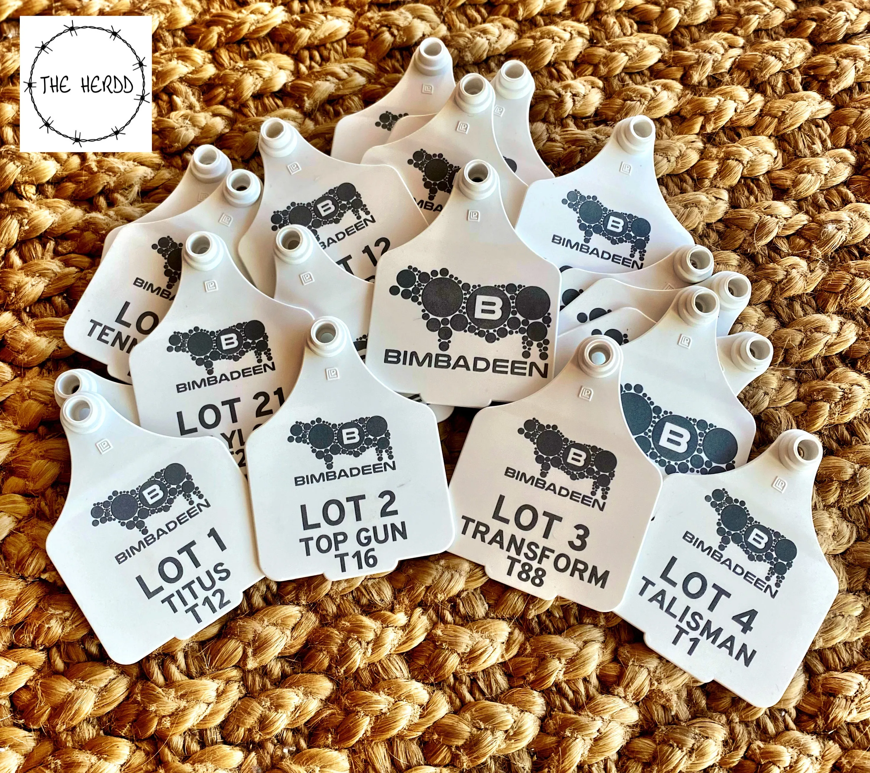Custom Tags