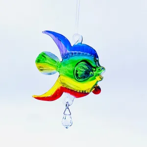 Dazzle Glass Fish, Rainbow 12