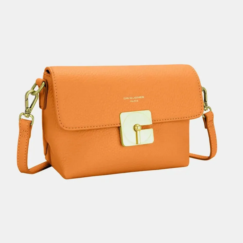 Elegant David Jones Crossbody Bag Redefines Luxury Fashion for Women