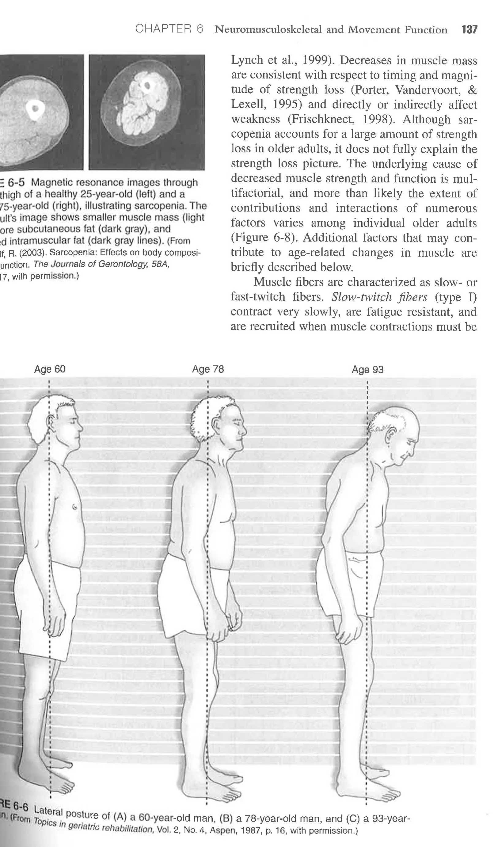 Functional Performance In Older Adults