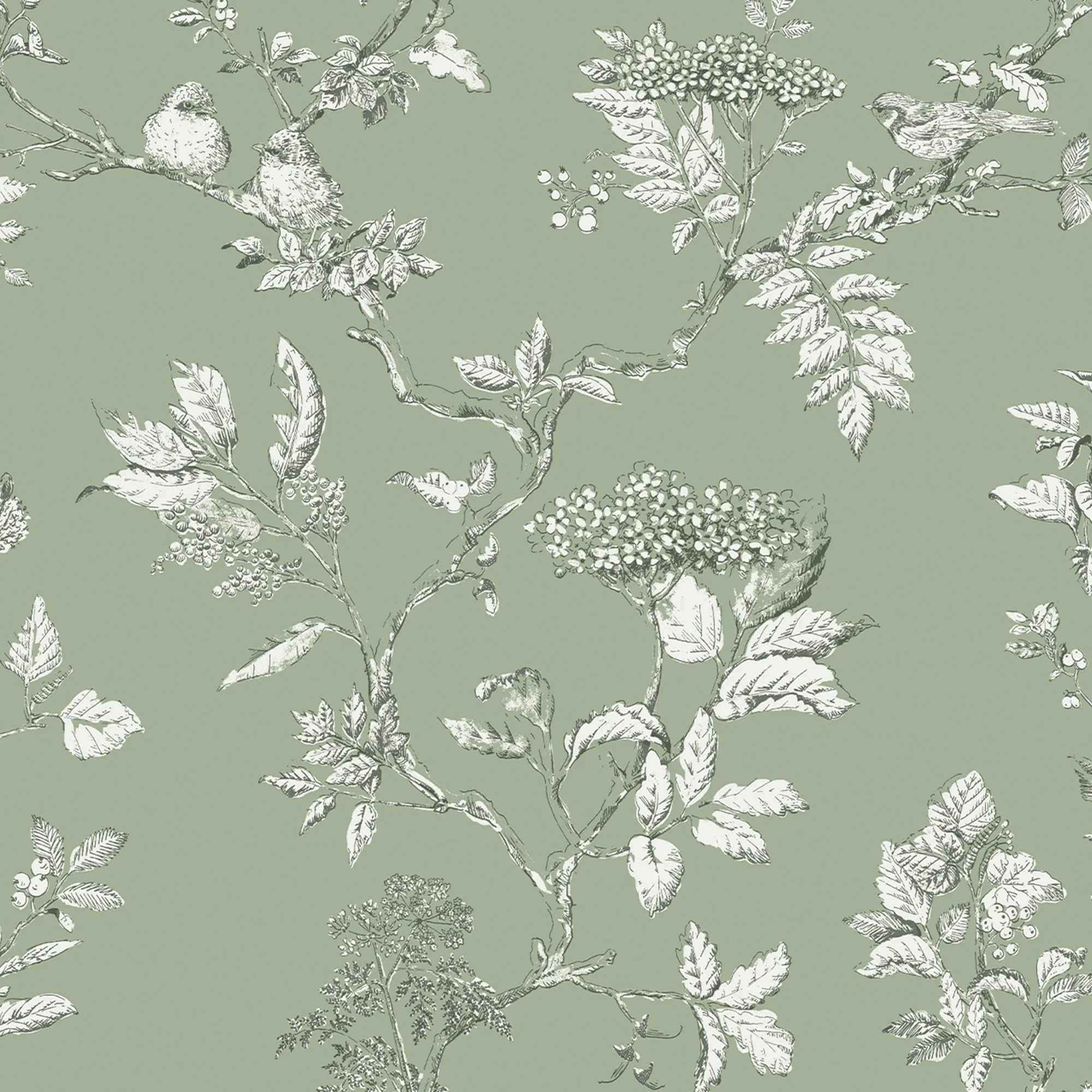 Laura Ashley Wallpaper Elderwood Sage 113348