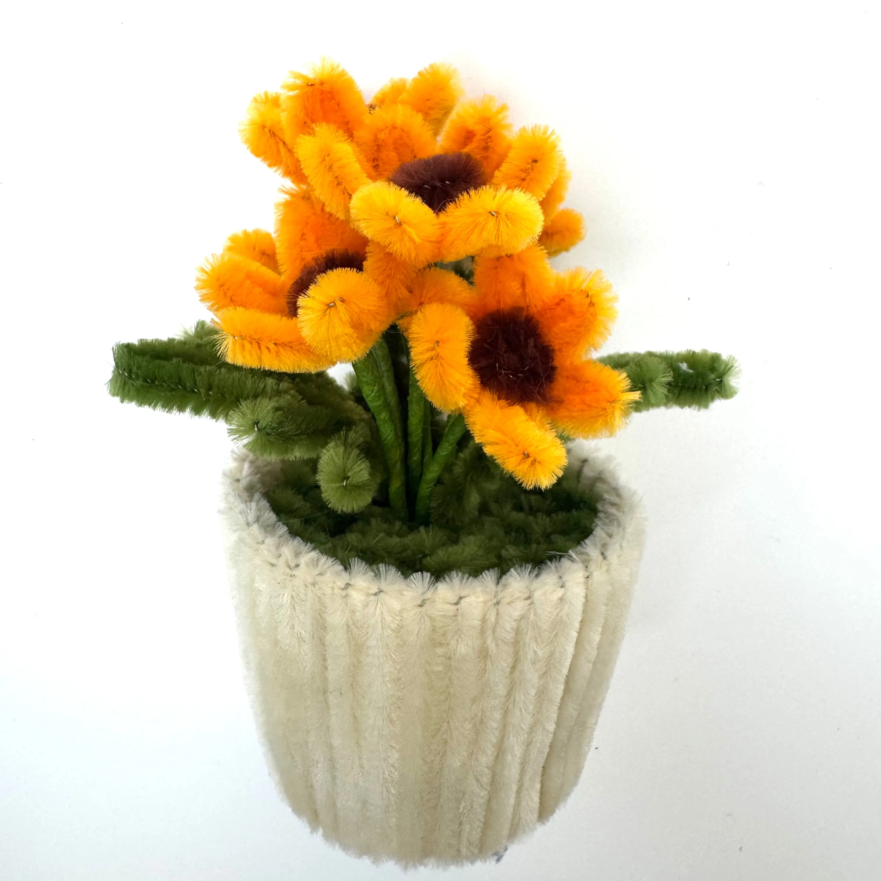 Miniature Tulip Garden
