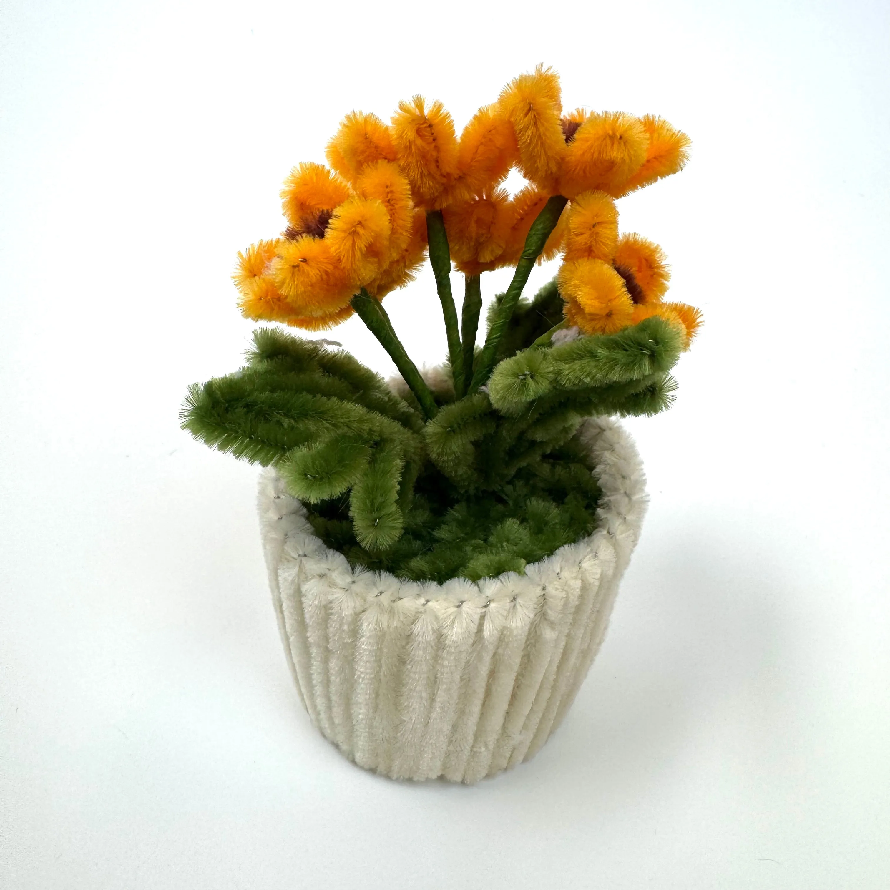 Miniature Tulip Garden