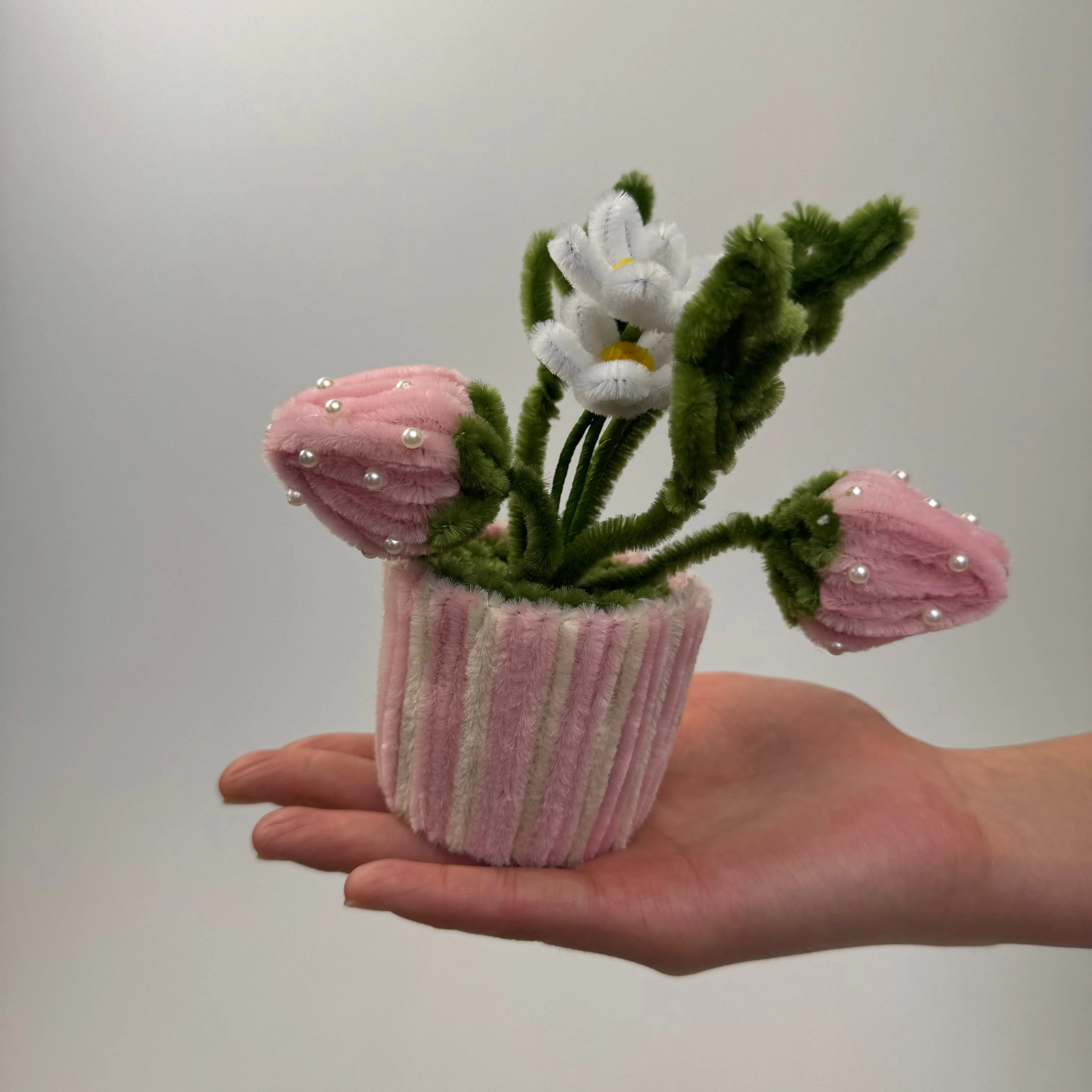 Miniature Tulip Garden