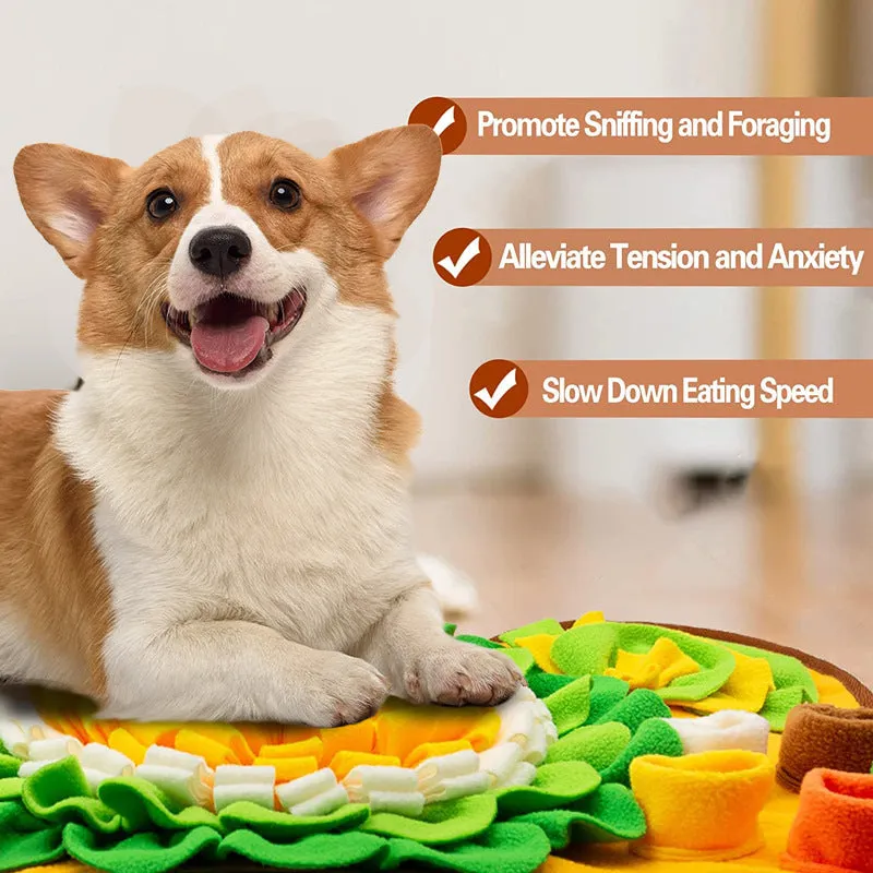 Nosework Challenge Pad