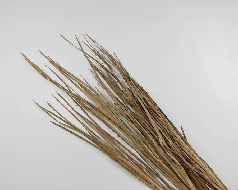 Solid White 36" Tapered Floor Vase with Natural Dried Ornamental Wild Grass