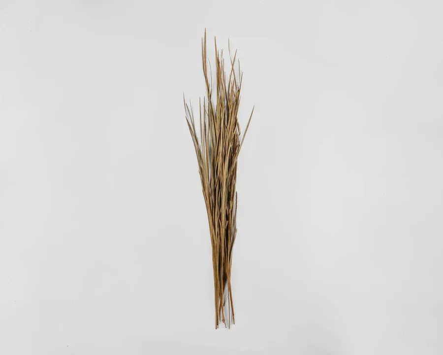 Solid White 36" Tapered Floor Vase with Natural Dried Ornamental Wild Grass