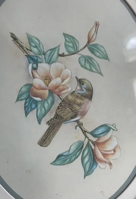 Vintage Pair Antique Oval Framed Bird & Flower Botanical Prints
